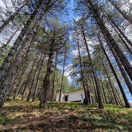 Вилла Bujtinat Skenderi Gjinar 2 Экстерьер фото