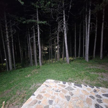 Вилла Bujtinat Skenderi Gjinar 2 Экстерьер фото