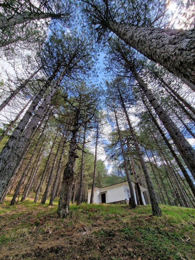 Вилла Bujtinat Skenderi Gjinar 2 Экстерьер фото