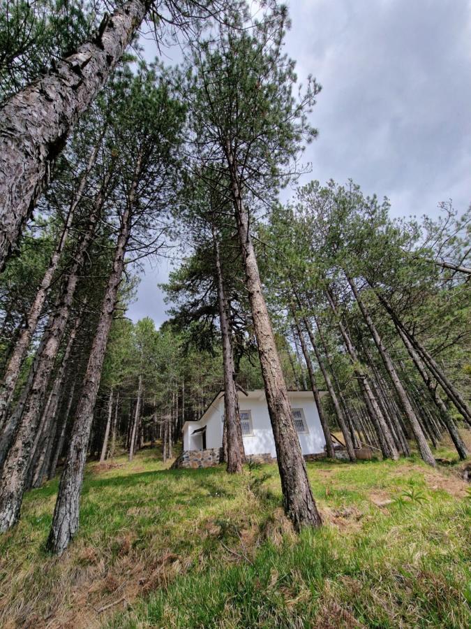 Вилла Bujtinat Skenderi Gjinar 2 Экстерьер фото